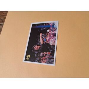 Vintage 1990 WWF Classic Trading Card 73 Sensational Queen Sherri Titan Sports